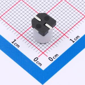 GVE1E227M0608CN商品缩略图