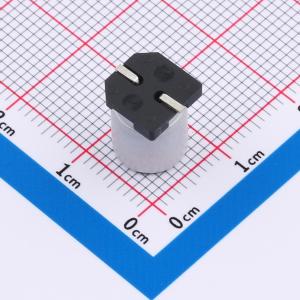 GVT1J107M0810CN商品缩略图