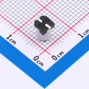 GVE1E106M0406CN商品缩略图