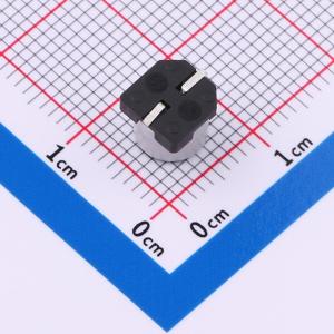 GVM1A337M0606CN商品缩略图