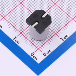 GVZ0J108M0810CN商品缩略图