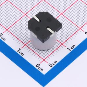 GVE1E477M1010CN商品缩略图