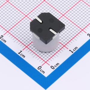 GVE1J107M1010CN商品缩略图