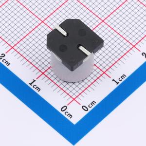 GVH1H107M1010CN商品缩略图