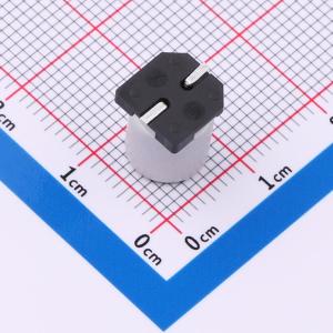 GVZ1V157M0810CN商品缩略图