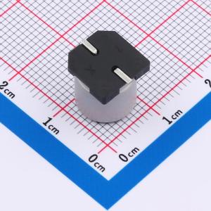 GVZ1H227M1010CN商品缩略图