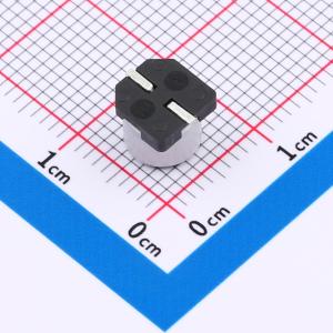 GVE1V107M0606CN商品缩略图