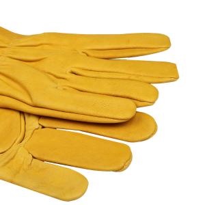 BB104商品缩略图