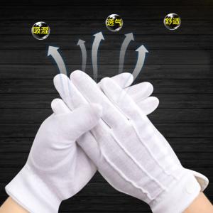 BB244商品缩略图