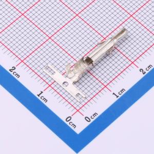 42023-RTS商品缩略图