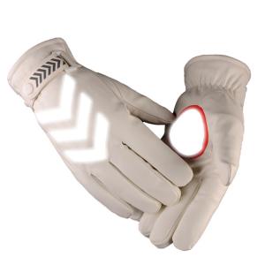 BB181商品缩略图