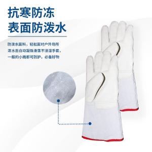 BB281商品缩略图