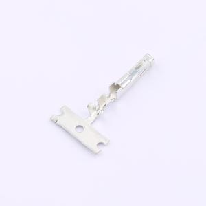 CC69L-2024-01-T-SP商品缩略图