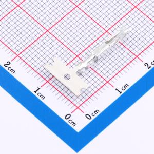 CC69L-2024-01-T-SP商品缩略图