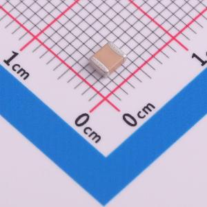 1210GC102K4T2A商品缩略图