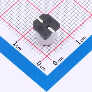 SS221M160E7R7R4Z00ZZ商品缩略图