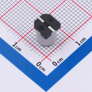 RVT1C331M0607商品缩略图