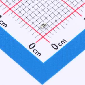 厚膜电阻 10kΩ ±5% 100mW
