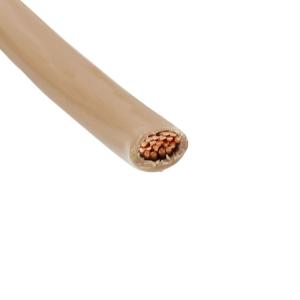 461019 TN002商品缩略图