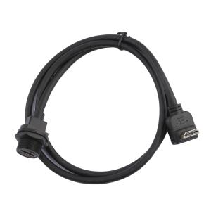 HDMI