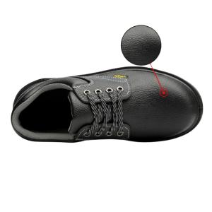 TD-SH8006商品缩略图