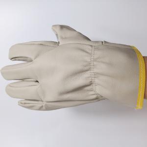 TD-GL5612商品缩略图