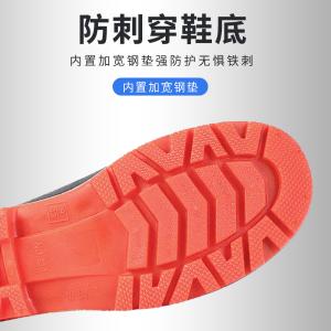 TD-SH7909商品缩略图