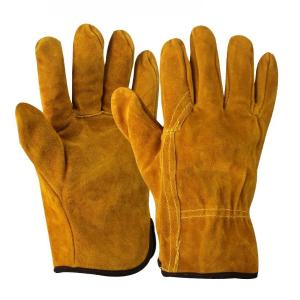 TD-GL5615YE商品缩略图