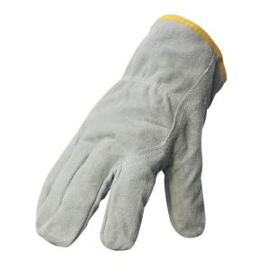 TD-GL5615GR商品缩略图