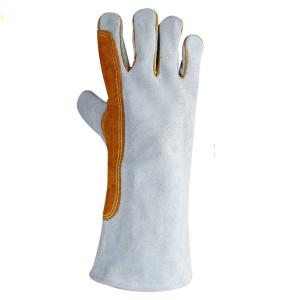 TD-GL517商品缩略图