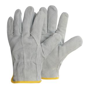 TD-GL5615GR商品缩略图