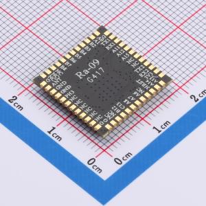 Ra-09商品缩略图