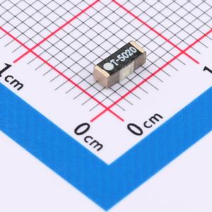 2.4G-chip(T-5020)商品缩略图