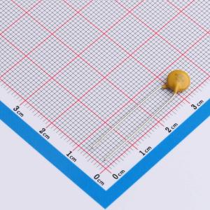 CT81-N6Y5P1B102KSE商品缩略图