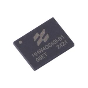 HHW4GS60I-B1商品缩略图