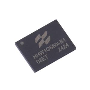 HHW1GS60I-B1商品缩略图