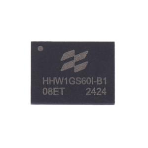 HHW1GS60I-B1商品缩略图