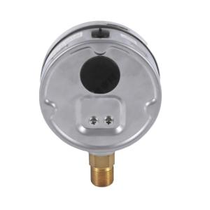 YTN-100 100mm/0-16MPa/NPT1/2商品缩略图