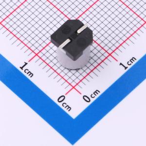 EFVZ100ADA100M0677商品缩略图