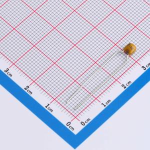 CT4-0805-2X1-63V-1000pF-K-Y商品缩略图