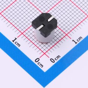 GMS1V107M0607PZ商品缩略图