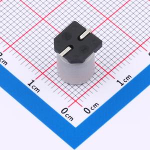 EFVZ063ADA101M08B0商品缩略图