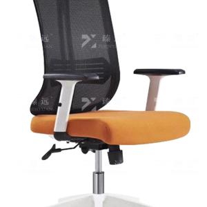 ZY-6664商品缩略图