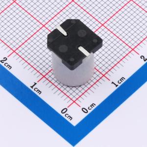 SPT1HM221G12TRVZC商品缩略图