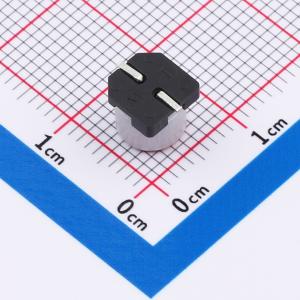 SPT0JM221E06TRVZC商品缩略图