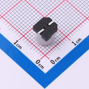 SPT0JM471E07TRVZC商品缩略图