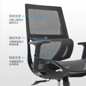 ZY-6683商品缩略图