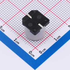 SPT1JM101G10TRVZC商品缩略图