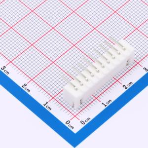 A254F2W1-2W10P11商品缩略图