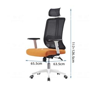 ZY-6664商品缩略图